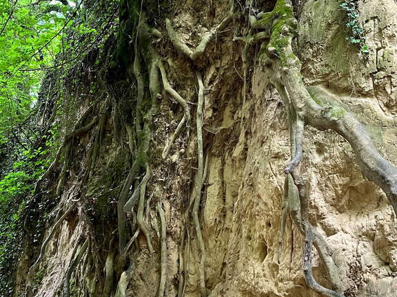 22-06-06 14-14-00 1071